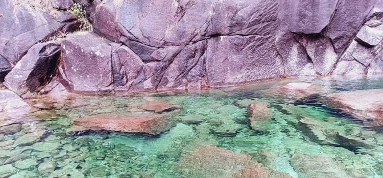 Presencia de nutrientes y metales pesados en aguas continentales y marinas