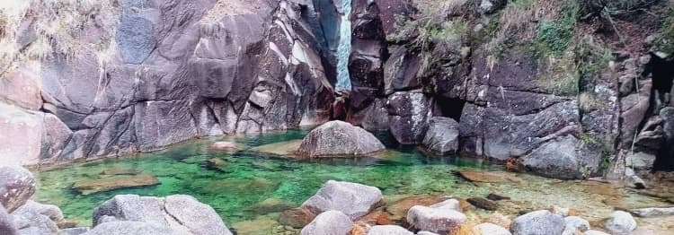 Eutrofización de aguas por exceso de nitratos y fosfatos